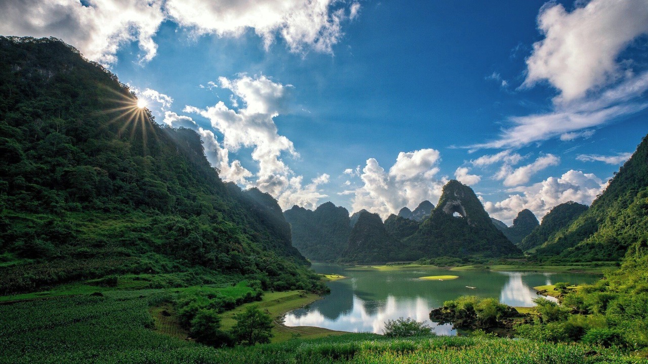 Photo of Others in Tra Linh