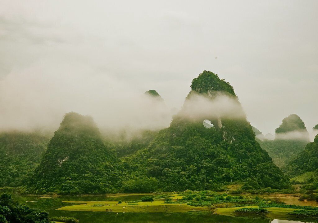 Photo of Others in Tra Linh