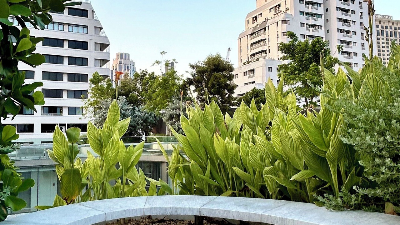 Photo of Outdoor in Nana