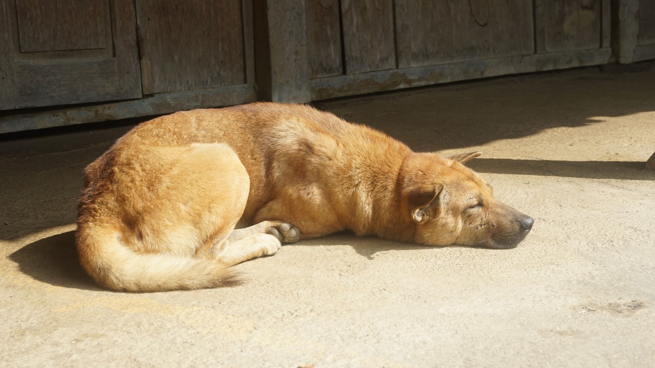 Photo of Others in Nam Mau