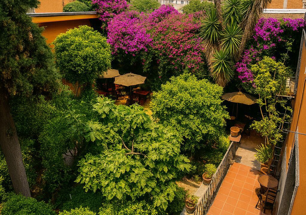 Photo of Outdoor in San Miguel Chapultepec
