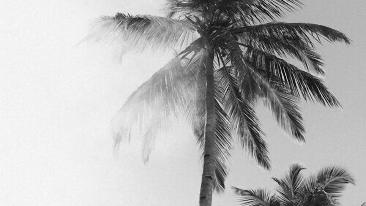 Photo of Outdoor in Pulau Masokut