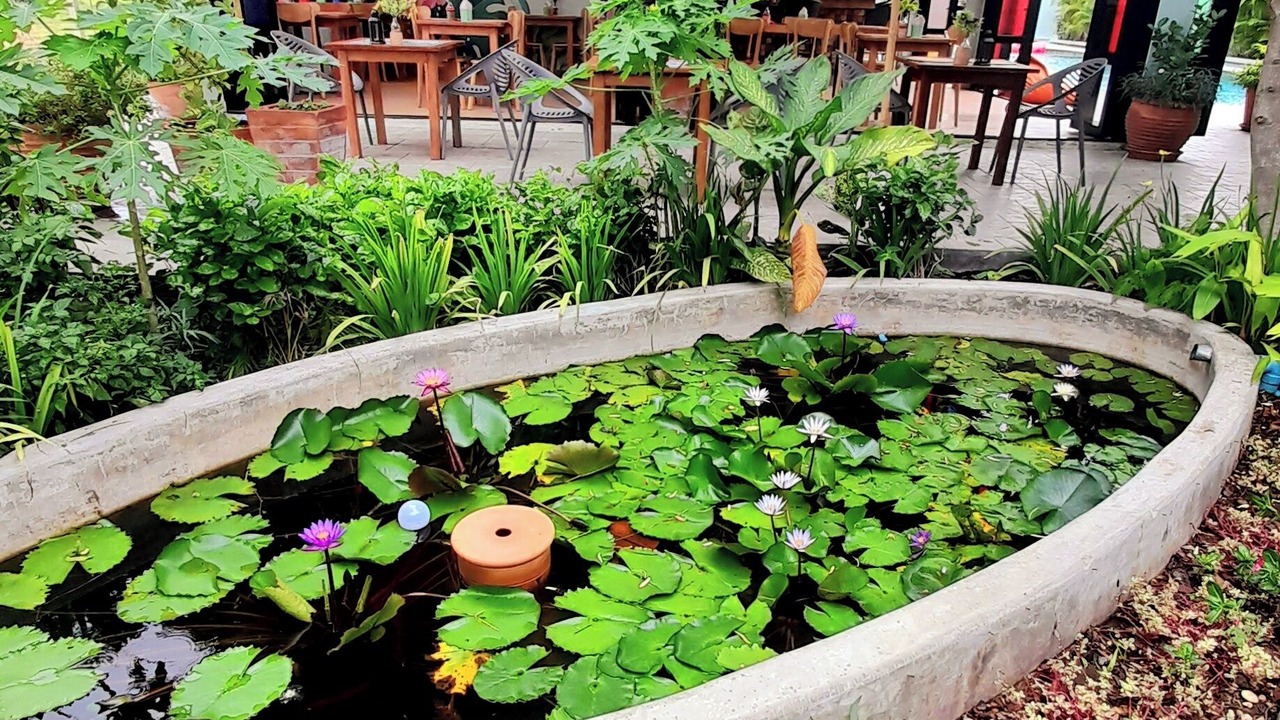 Photo of Outdoor in Mae Pong