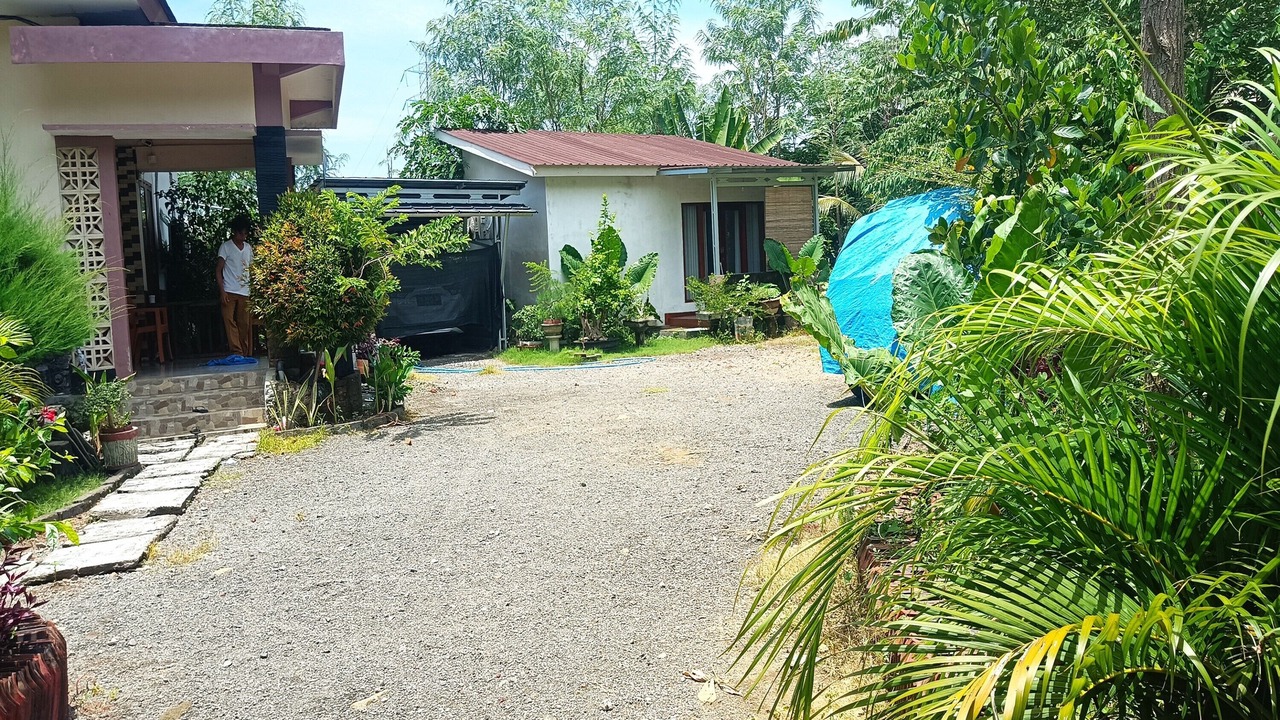 Photo of Outdoor in Kuta