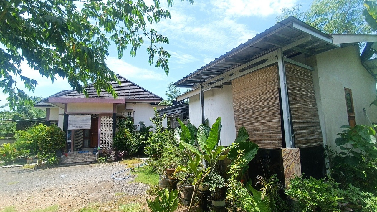 Photo of Outdoor in Kuta