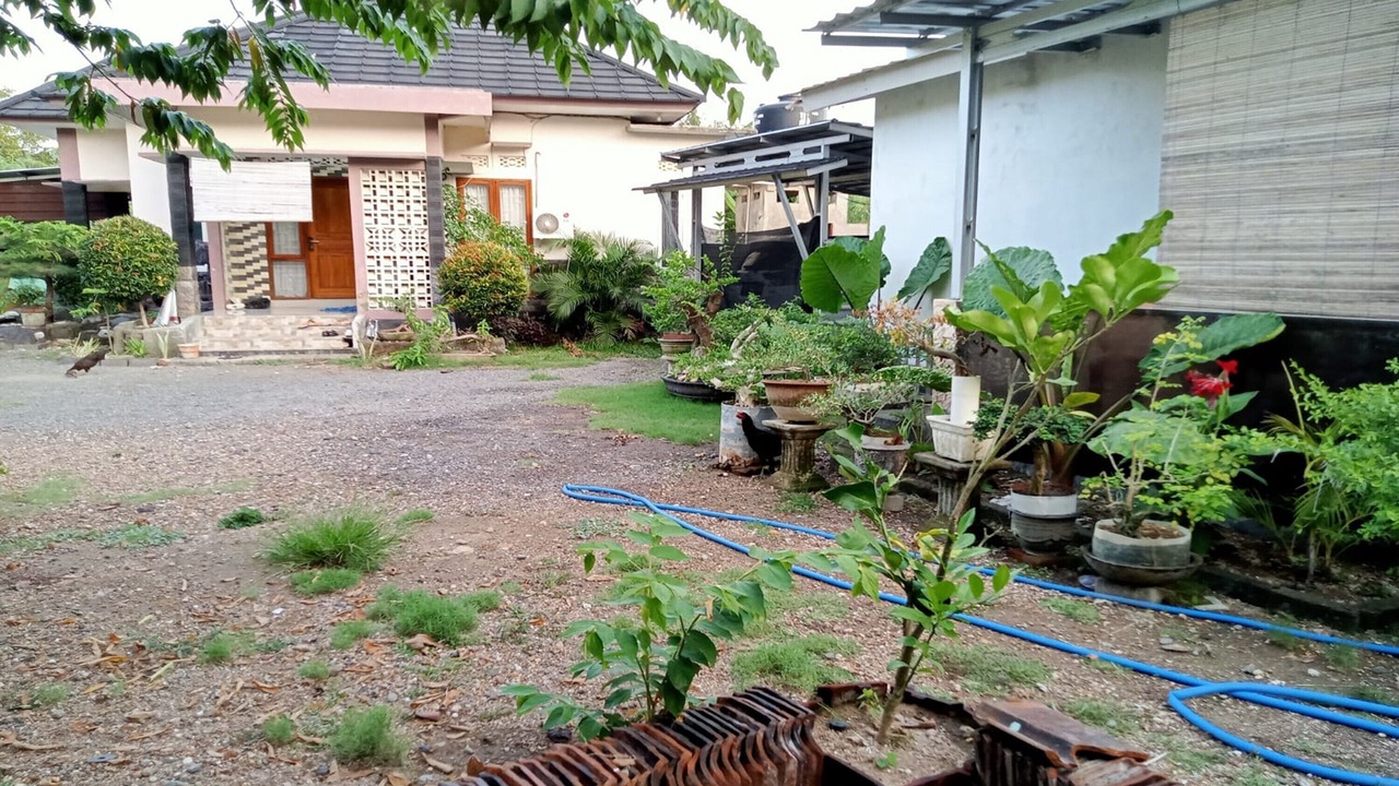 Photo of Outdoor in Kuta
