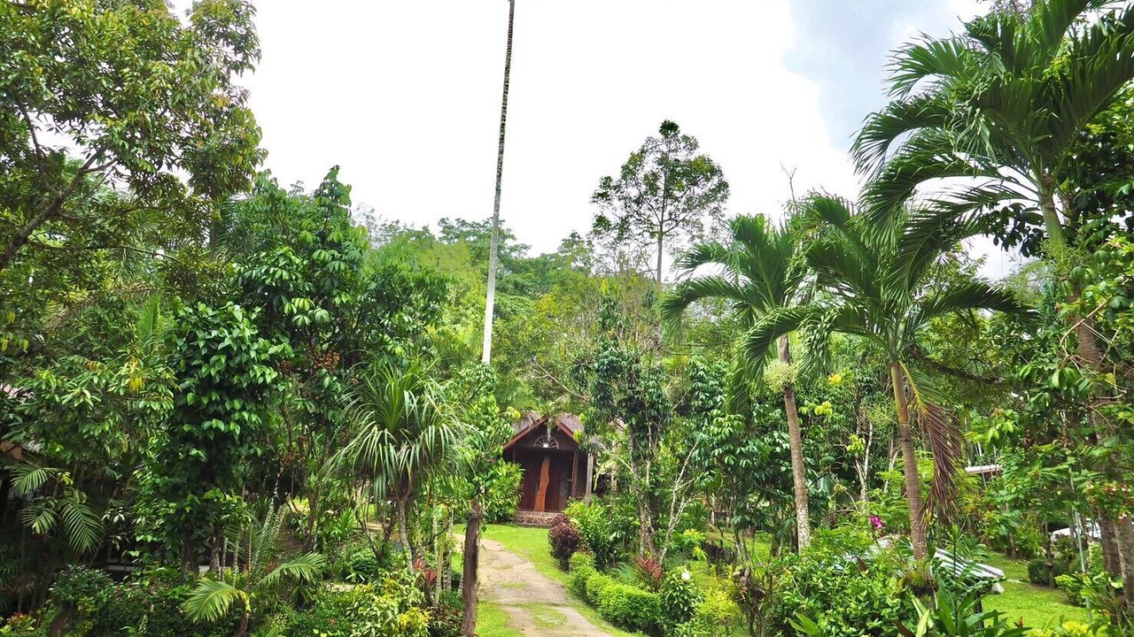 Photo of Outdoor in Ban Ta Khun