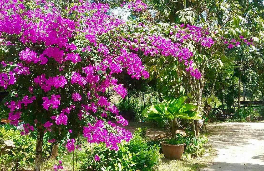 Photo of Outdoor in Ban Ta Khun
