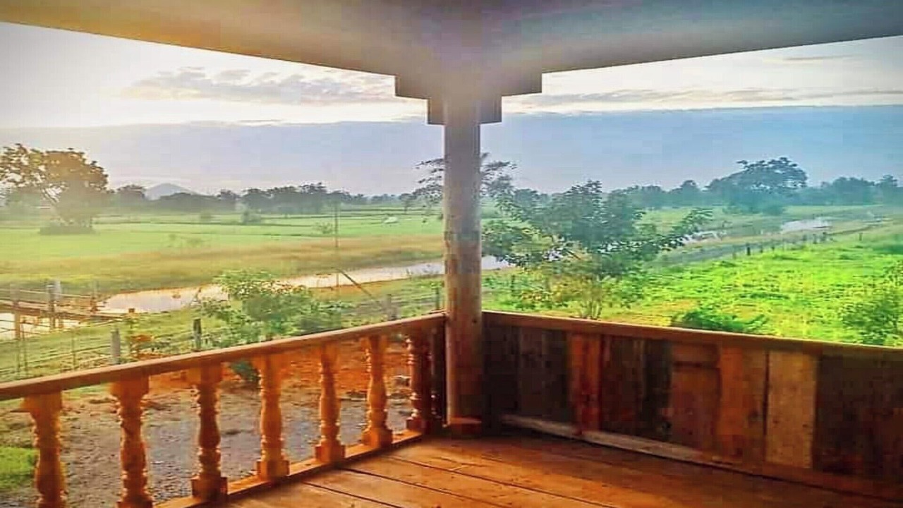 Photo of Outdoor in Banan