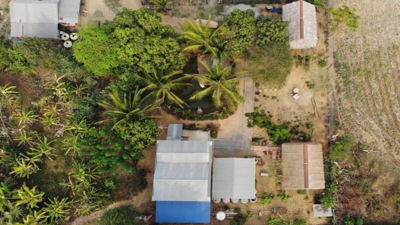 Photo of Outdoor in Banan