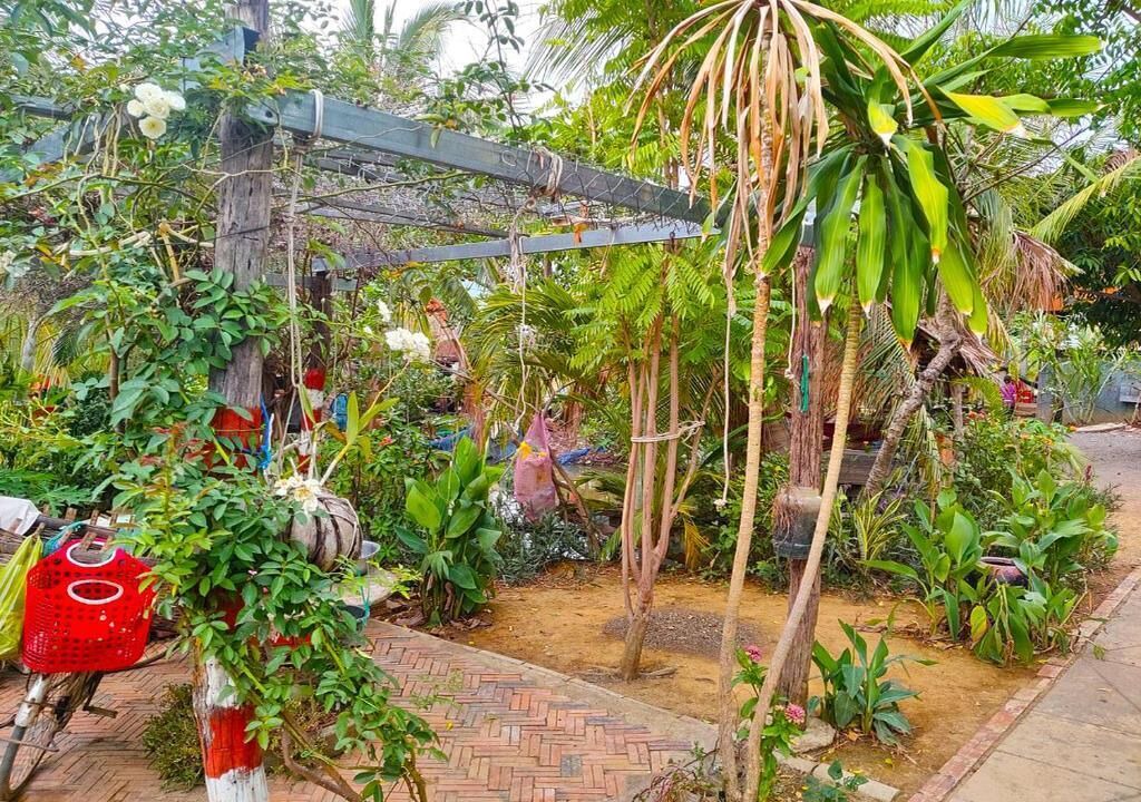 Photo of Outdoor in Banan