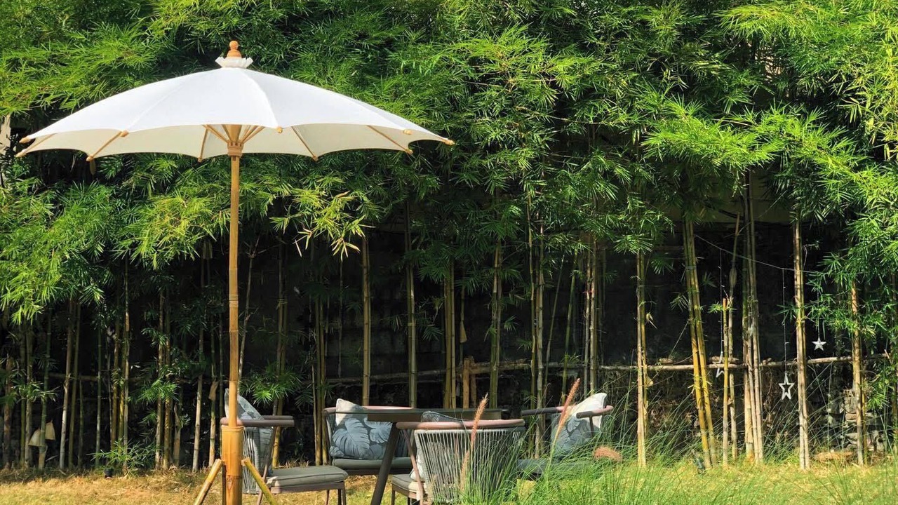 Photo of Outdoor in Vang Vieng