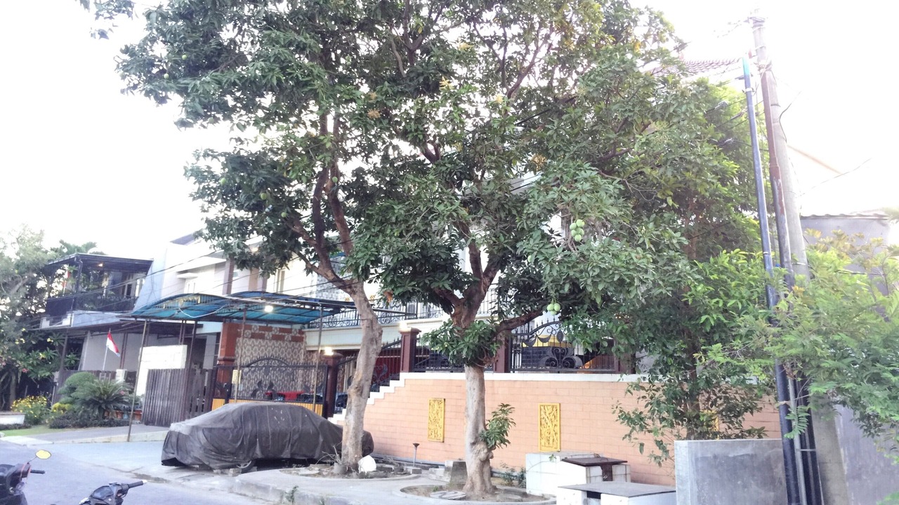 Photo of Outdoor in Waru