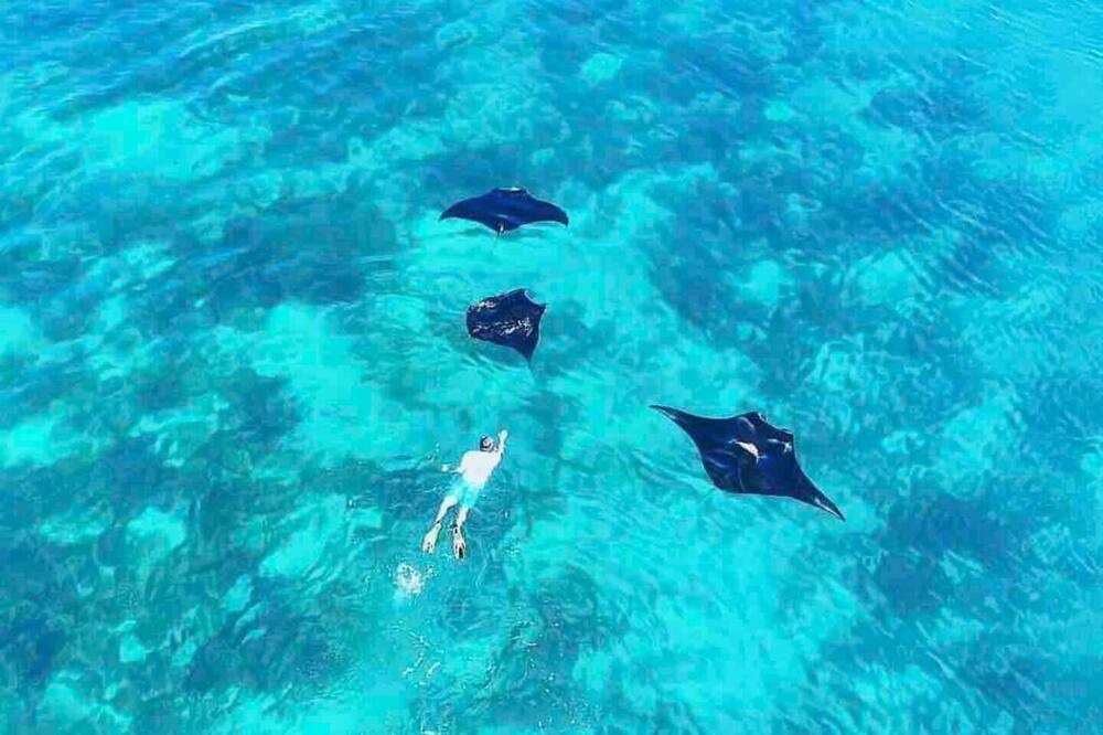 Photo of Others in Komodo
