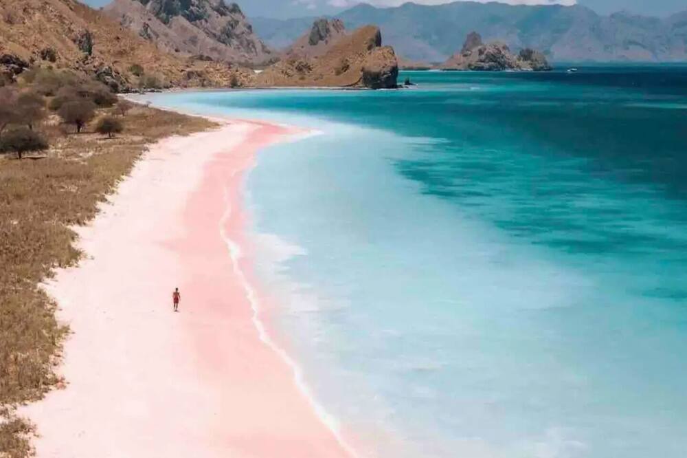 Photo of Others in Komodo