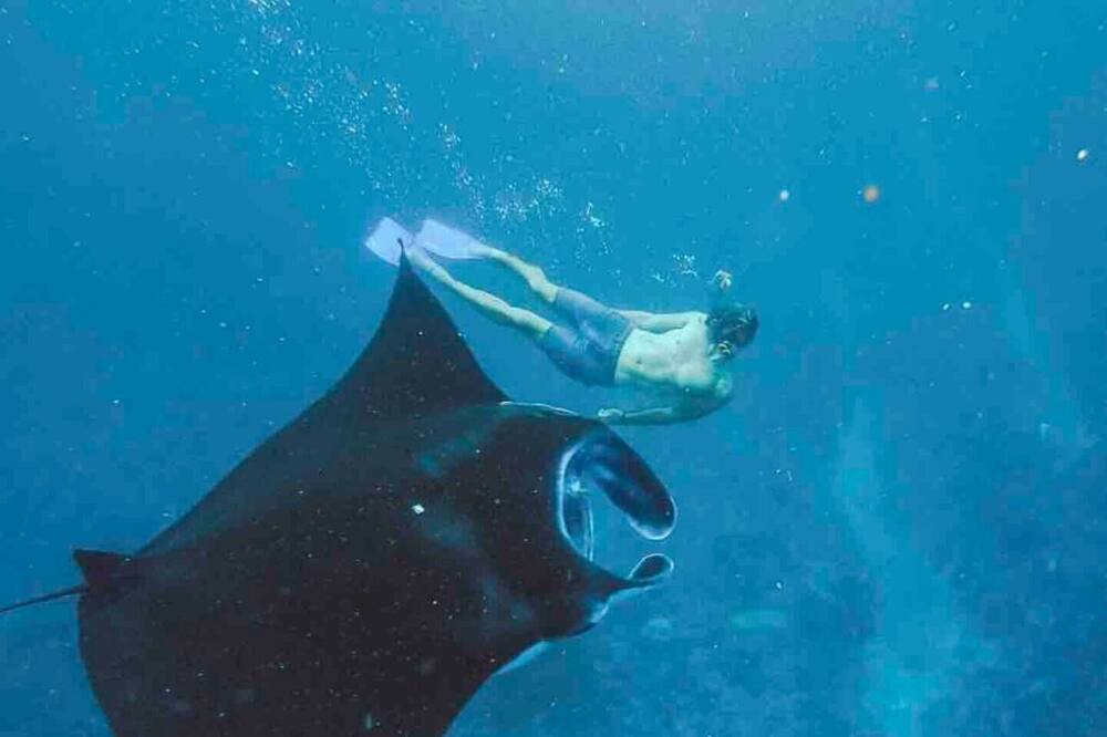 Photo of Outdoor in Komodo