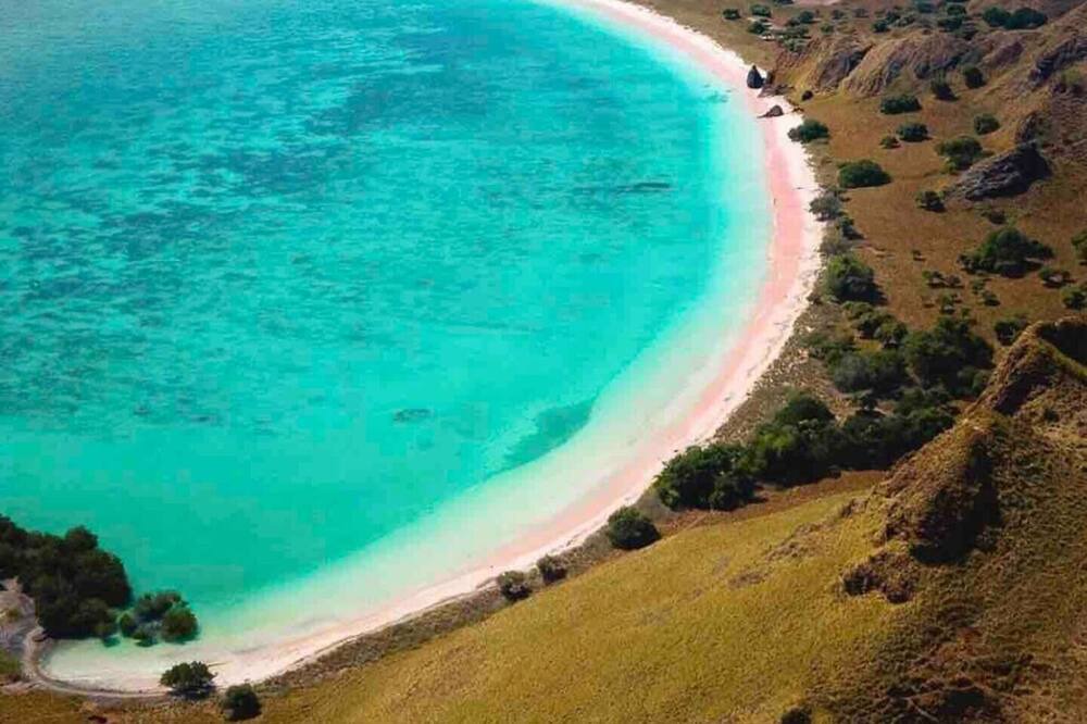 Photo of Others in Komodo