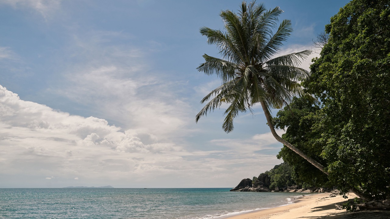 Photo of Outdoor in Tioman Island