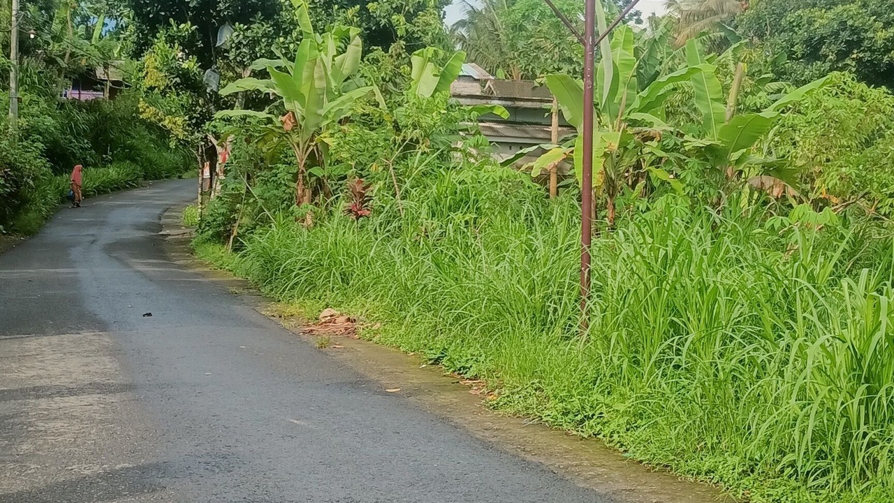 Photo of Others in Tetebatu