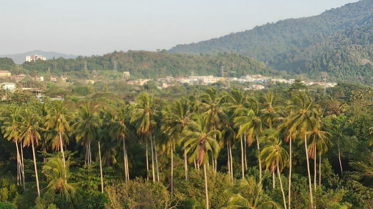 Photo of Outdoor in Kuah