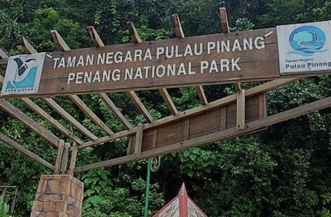 Photo of Outdoor in Teluk Bahang