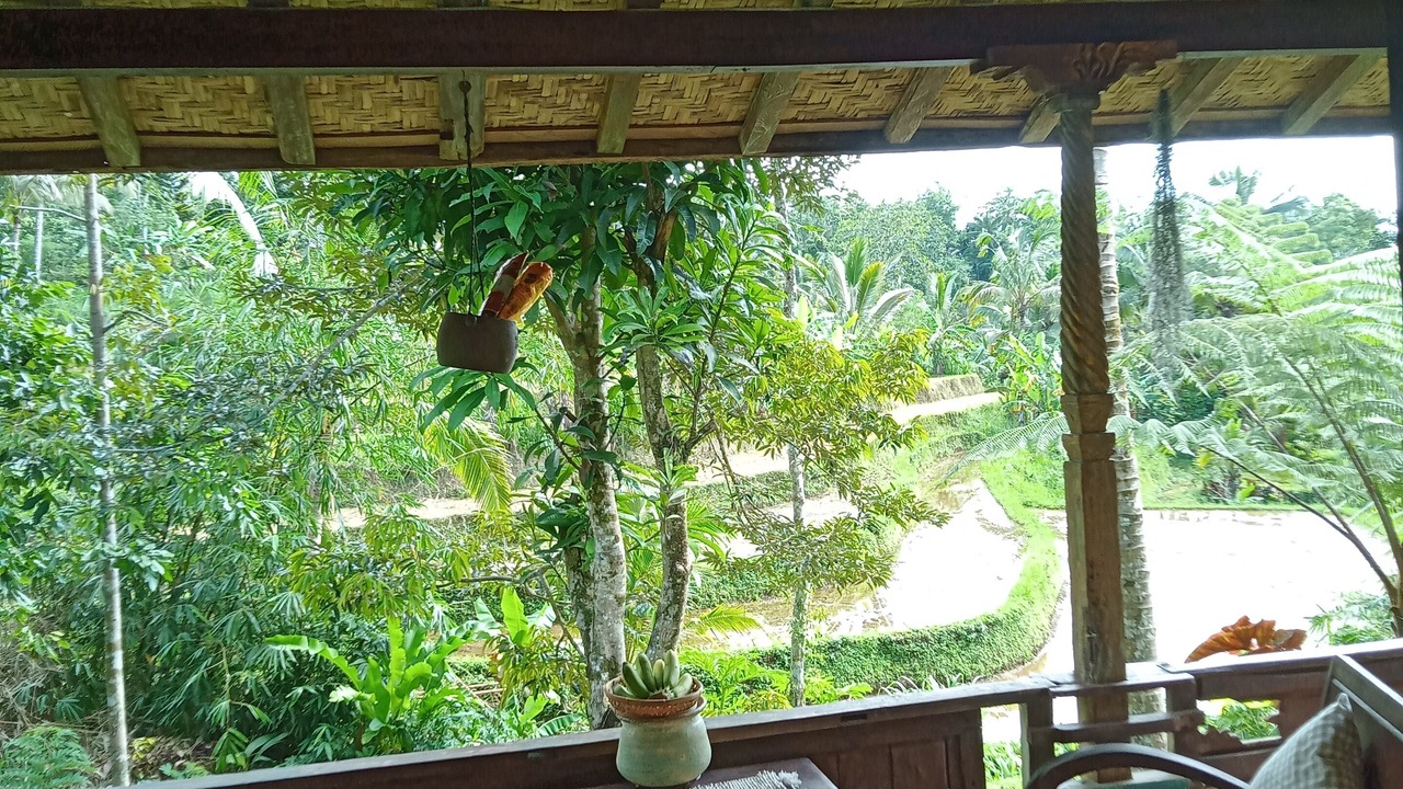 Photo of Outdoor in Kesawan