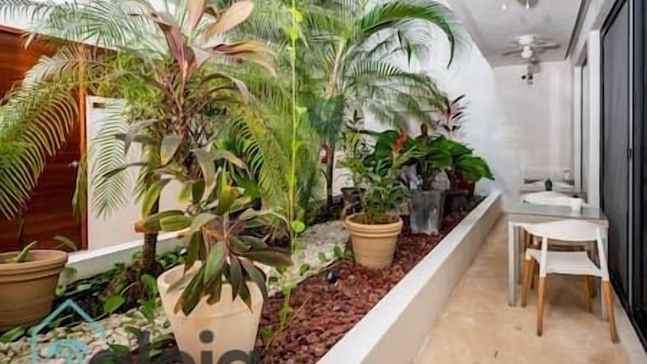 Photo of Outdoor in Venustiano Carranza