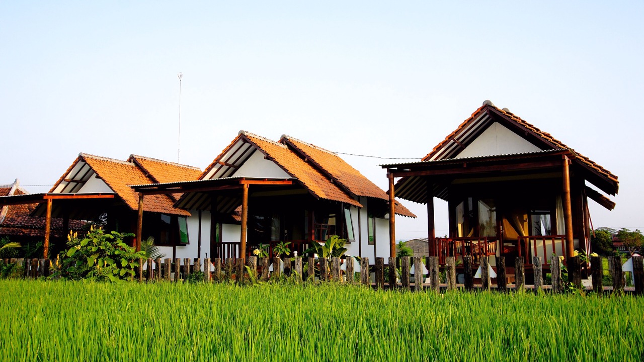 Photo of Outdoor in Timbulharjo
