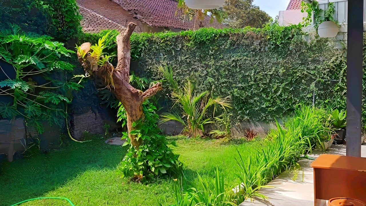 Photo of Outdoor in Prambanan