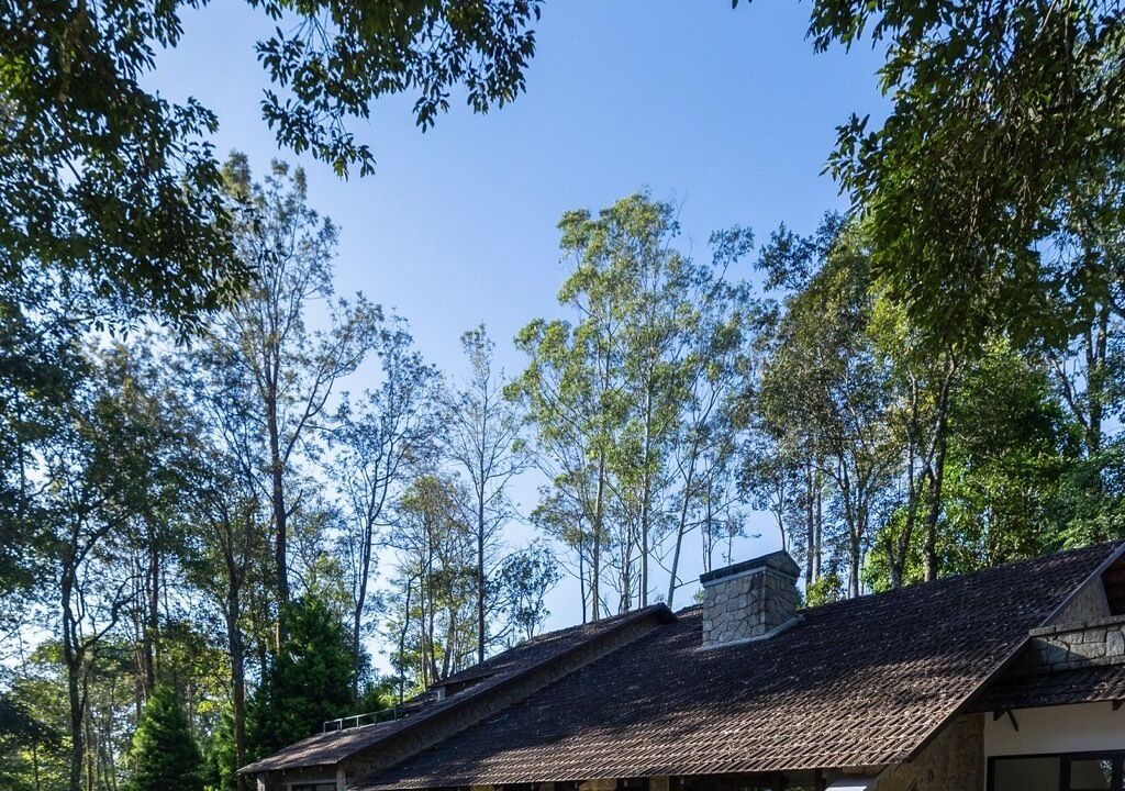 Photo of Outdoor in Udumbanchola