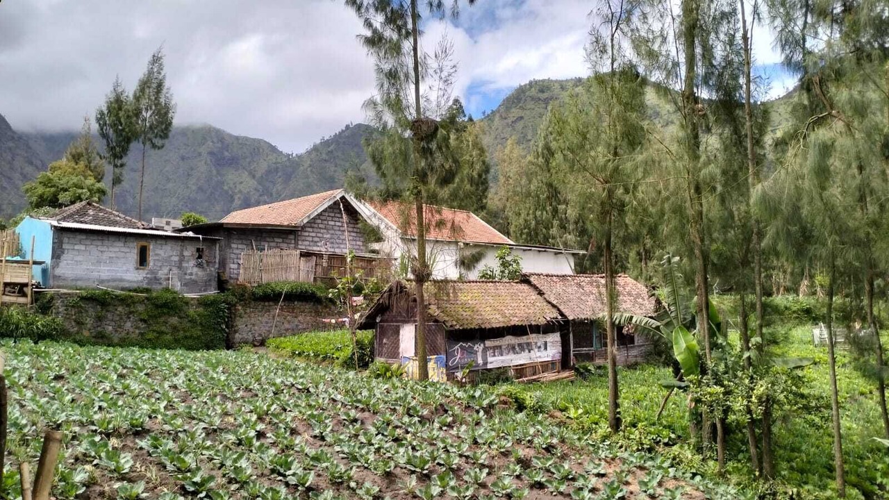 Photo of Outdoor in Ngadisari