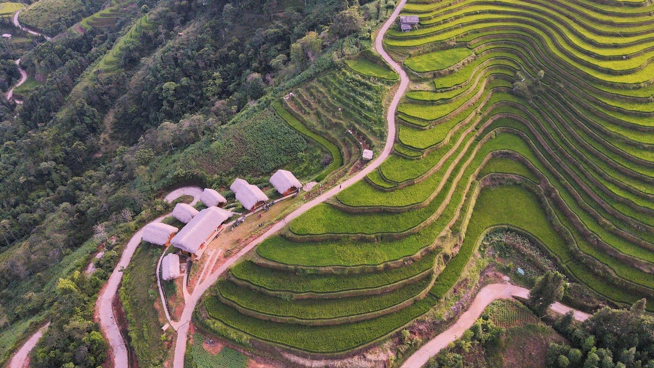 Photo of Outdoor in Thong Nguyen