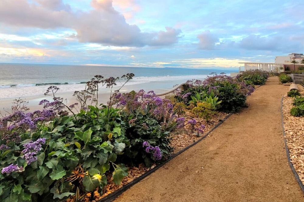 Photo of Others in Costa de Oro
