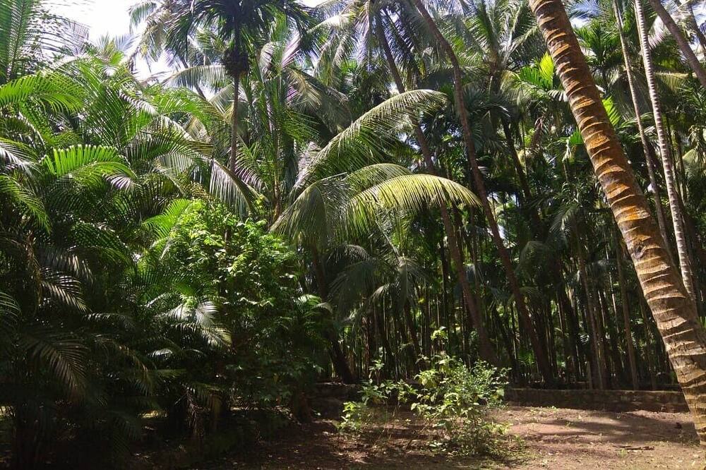 Photo of Outdoor in Alibaug