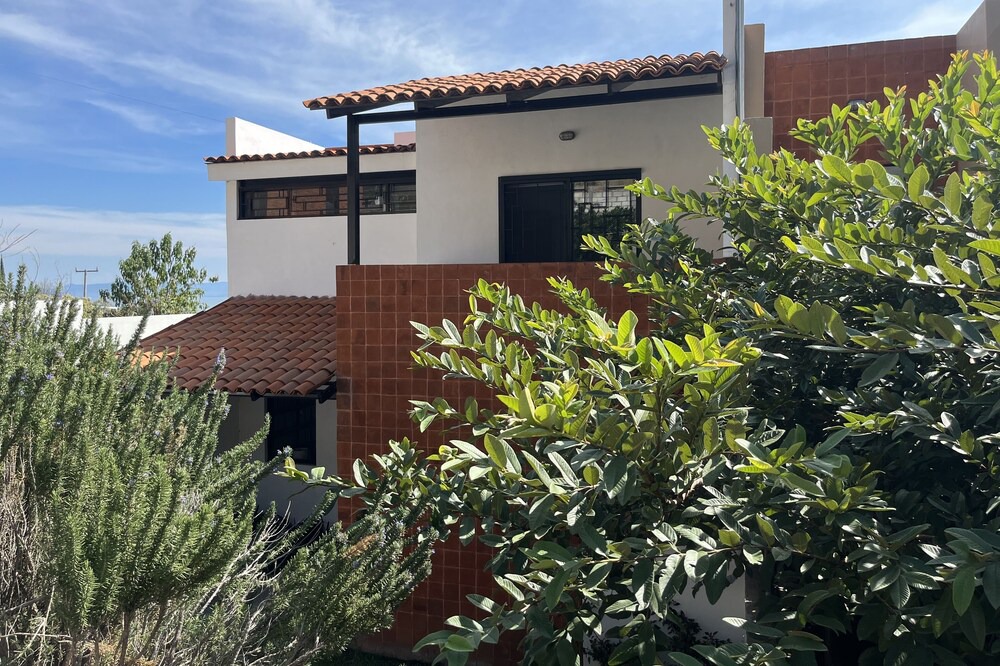 Photo of Outdoor in San Juan Cosala