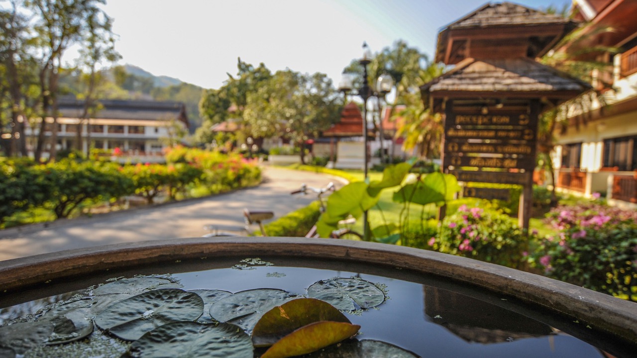 Photo of Outdoor in Hang Dong