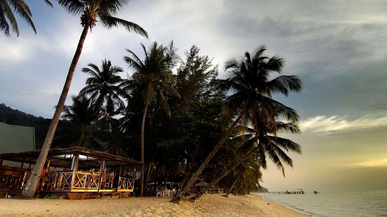 Photo of Others in Tioman Island