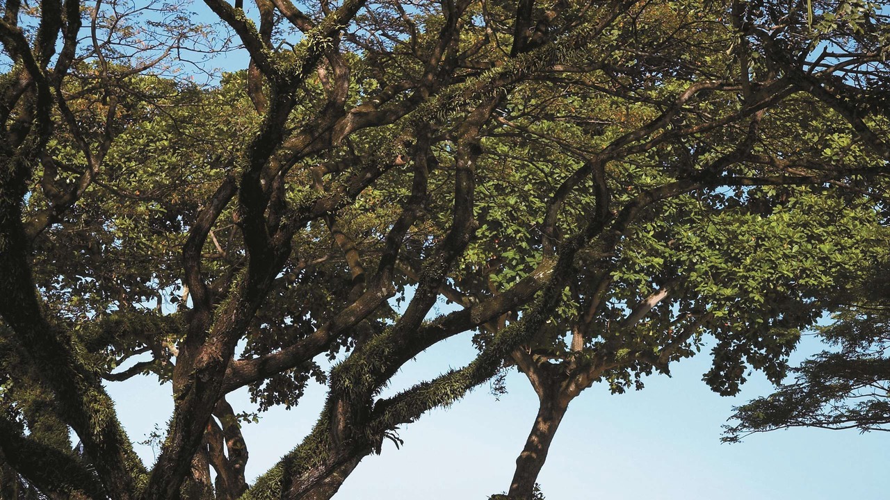 Photo of Outdoor in Tanjung Huma