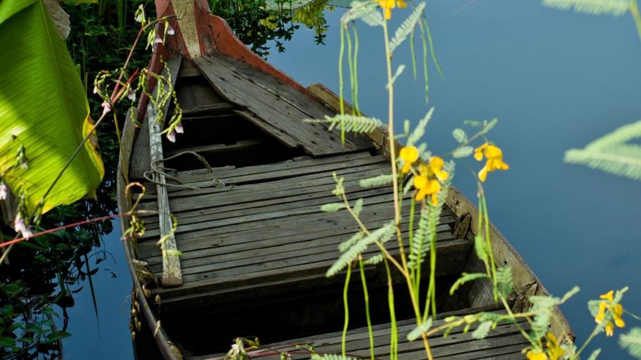 Photo of Outdoor in Svay Pao