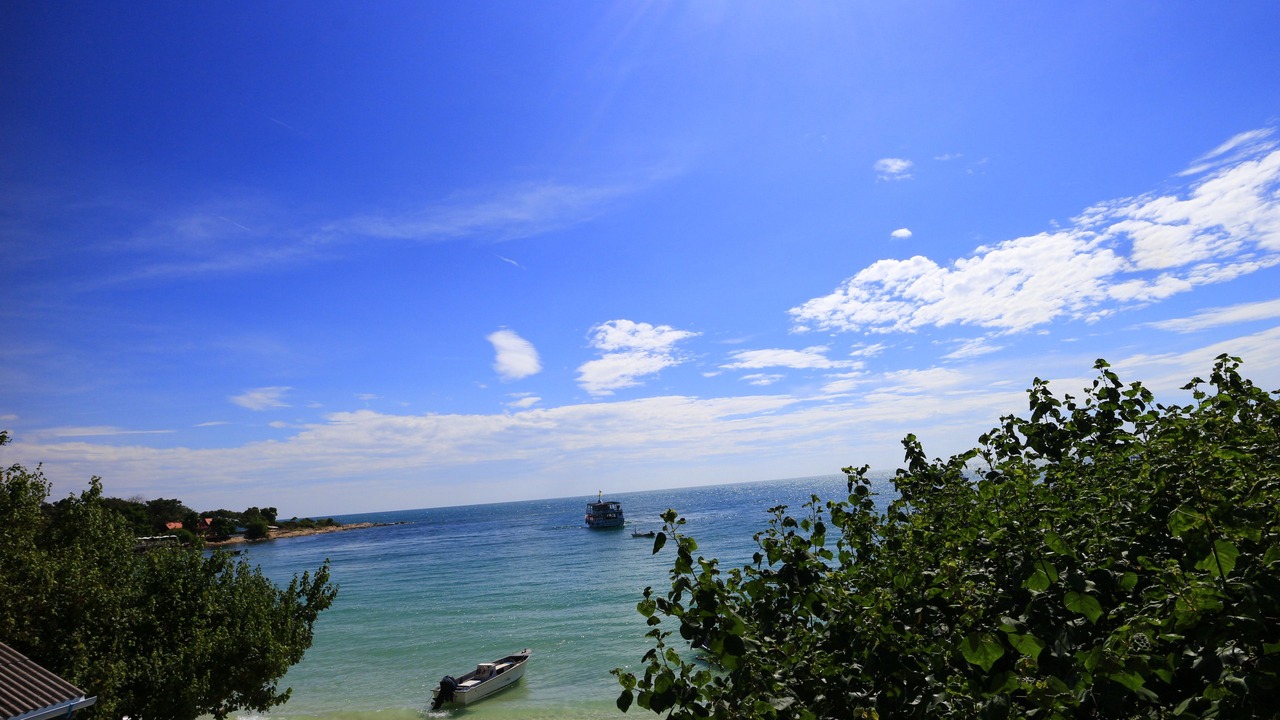 Photo of Others in Rayong