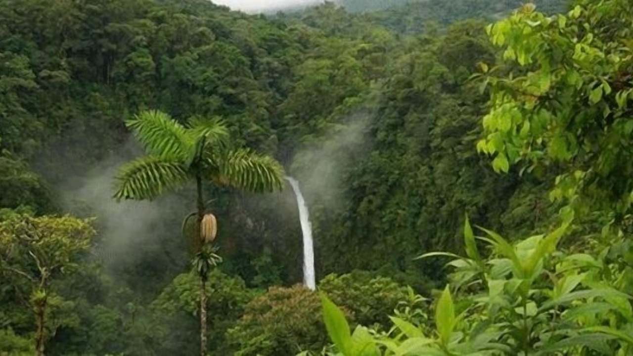 Photo of Outdoor in Chithirapuram