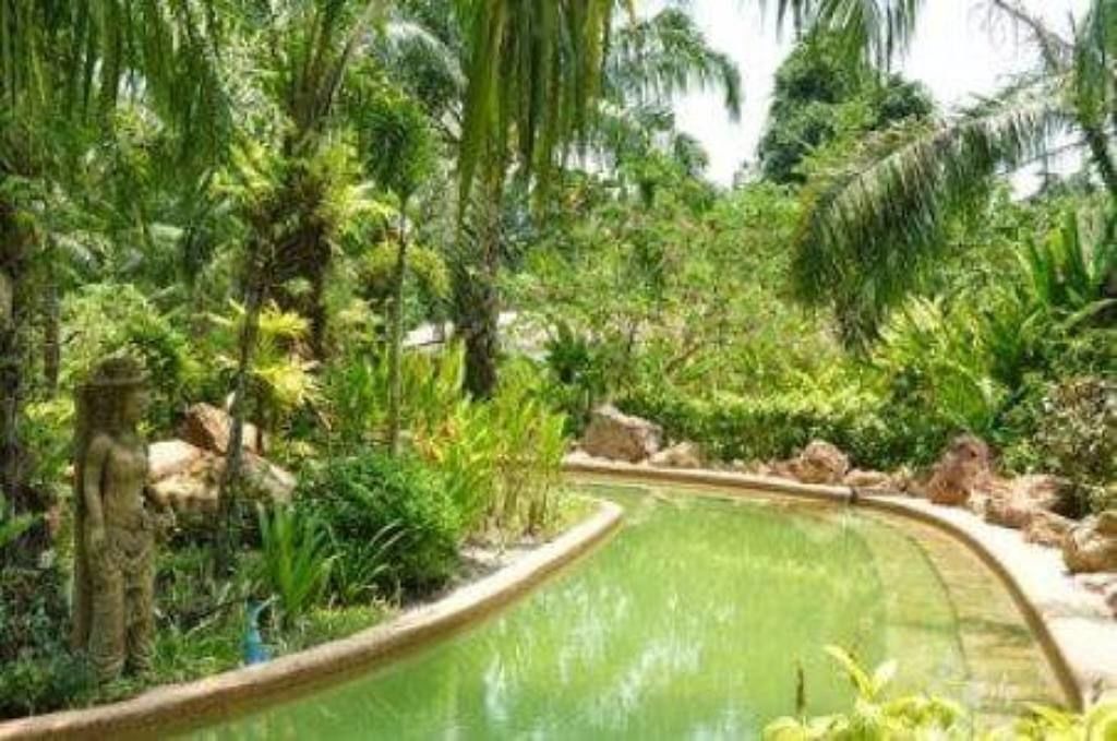 Photo of Outdoor in Phela