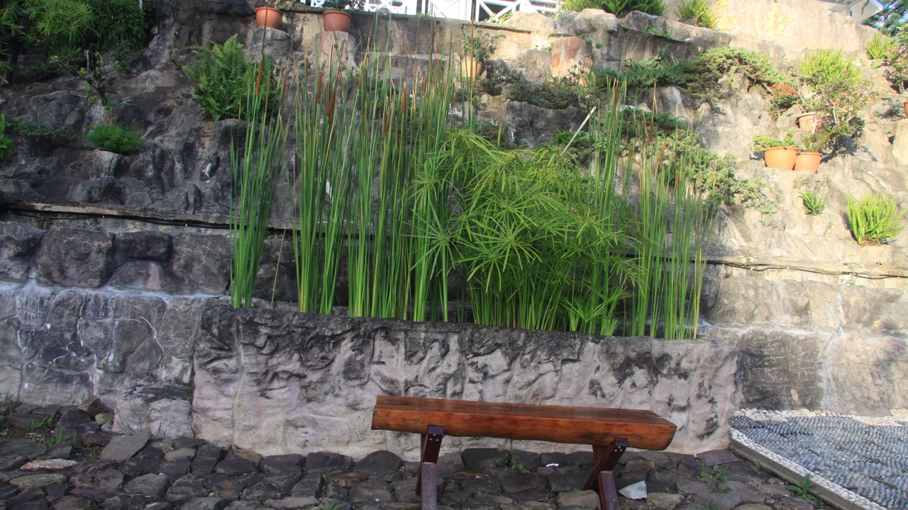Photo of Outdoor in Kundasang