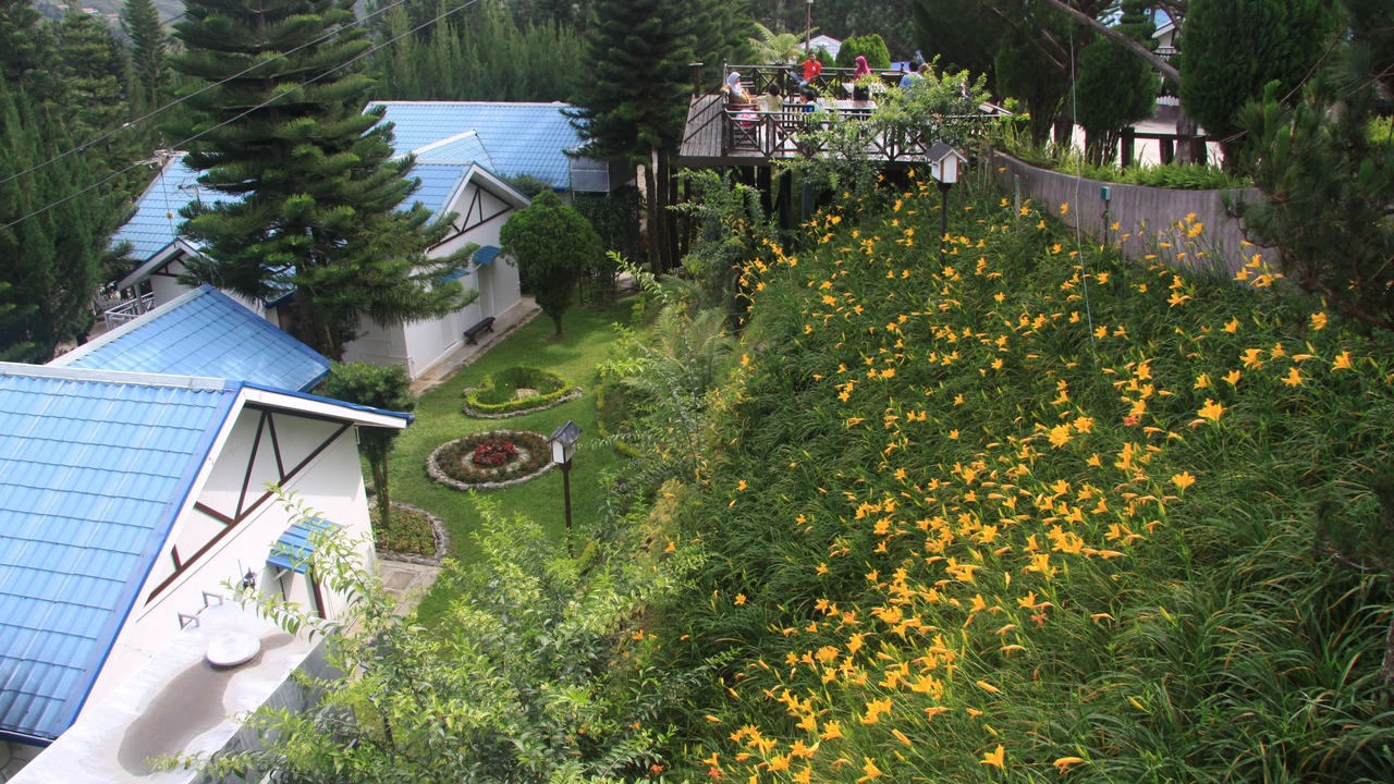 Photo of Outdoor in Kundasang