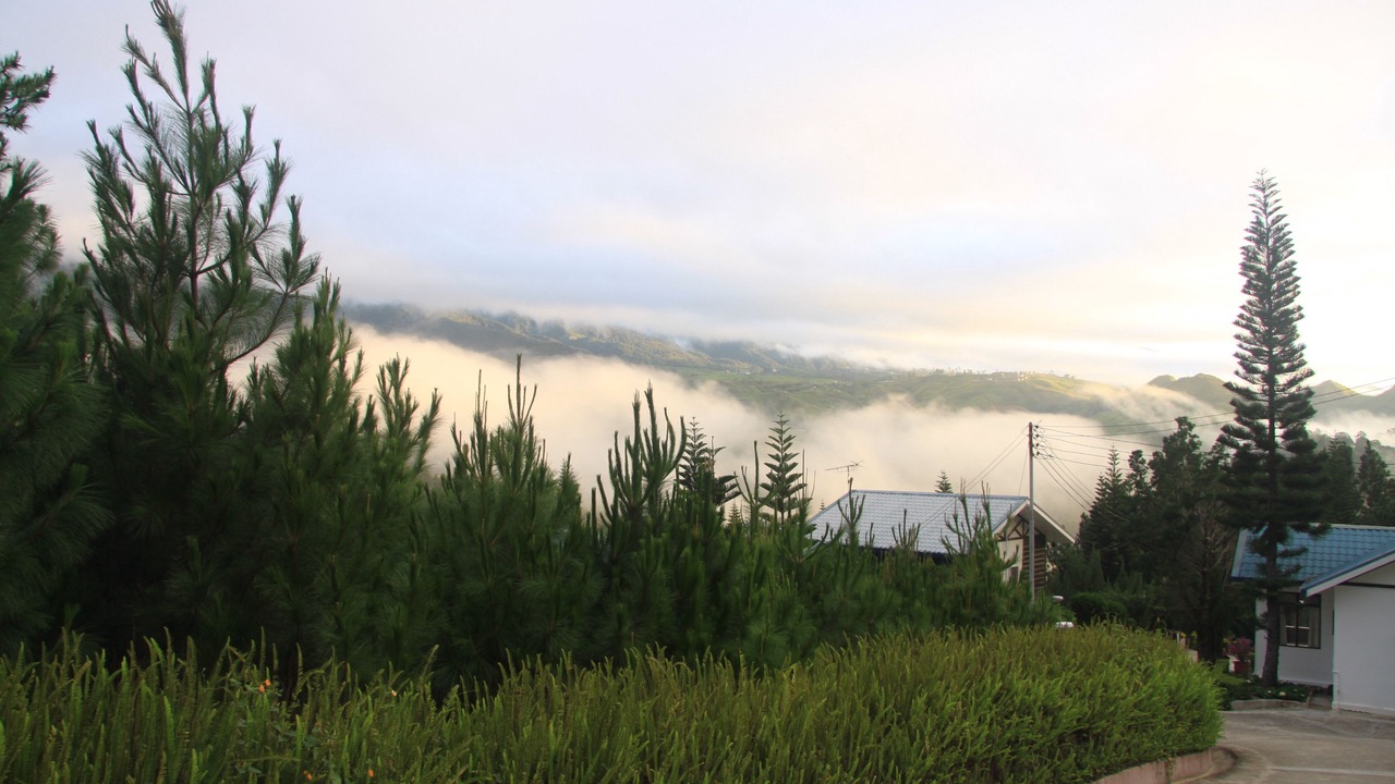 Photo of Others in Kundasang
