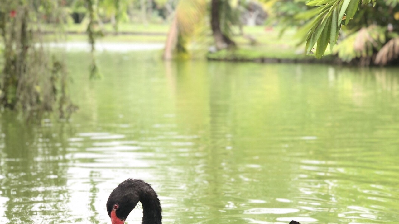 Photo of Others in Cu Chi