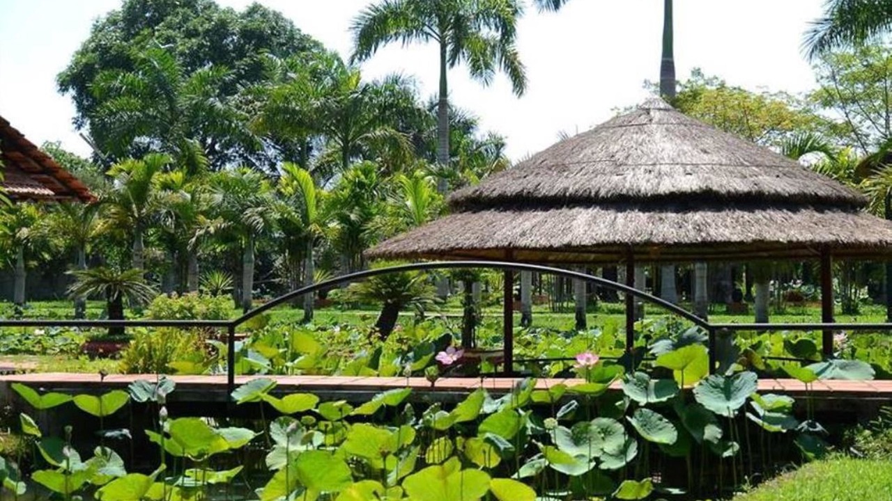 Photo of Outdoor in Cu Chi