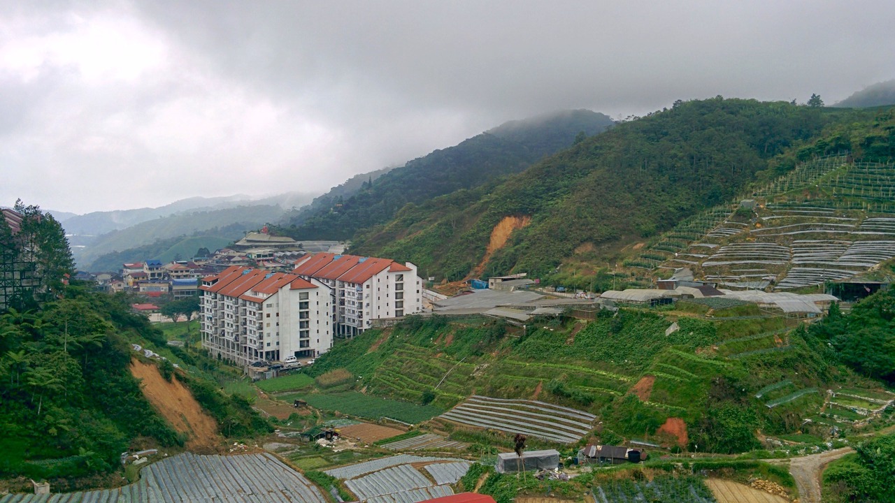 Photo of Others in Brinchang