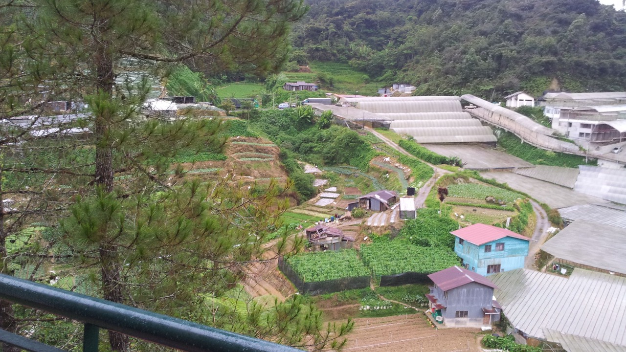Photo of Others in Brinchang