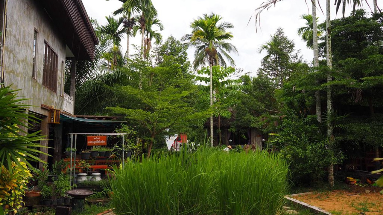 Photo of Outdoor in Chumphon